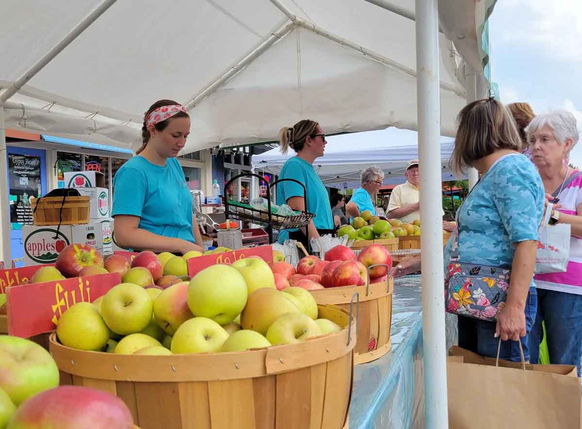Experience the 76th Apple Festival North Carolina Recz